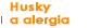 Husky a alergie