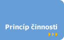 Princip innosti